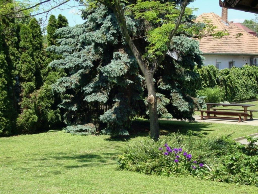 Gyongyvirag Vendeghaz Apartment Balatonboglar Exterior photo