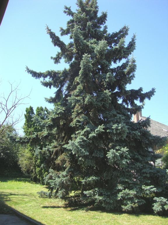 Gyongyvirag Vendeghaz Apartment Balatonboglar Exterior photo